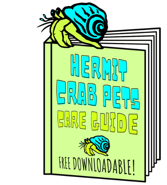 Downloadable - Hermit Crab Pets