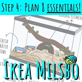 Ikea Milsbo Hermit Crab Habitat Hack - Hermit Crab Pets