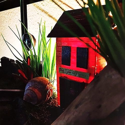 Hermit Crab Habitat DIY Wood Structure Chez Crab with a large hermit crab staring at it, backlighting adds a glow