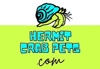 Hank The Hermit Crab - Pet Brands Ltd