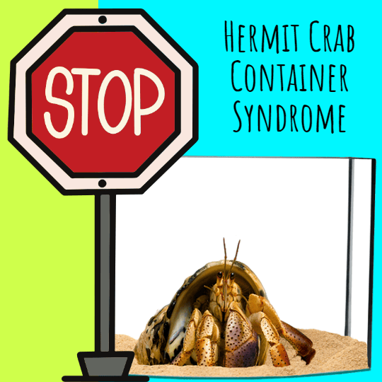 Hermit Crab Container Syndrome
