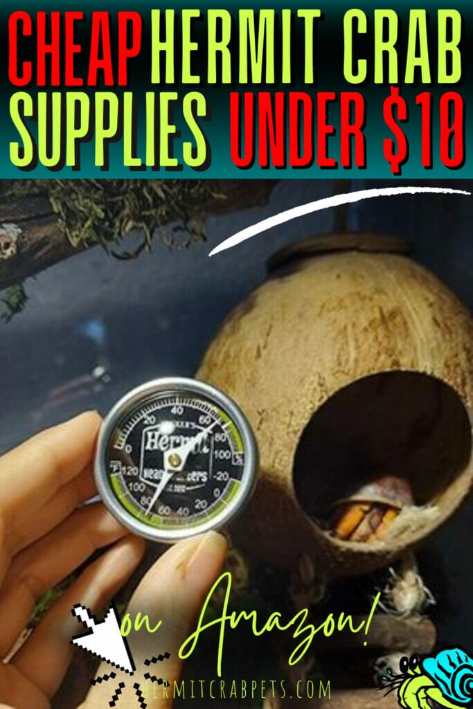 Cheap hermit crab supplies under $10 on Amazon