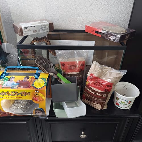 10 gallon hermit crab tank and supplies
