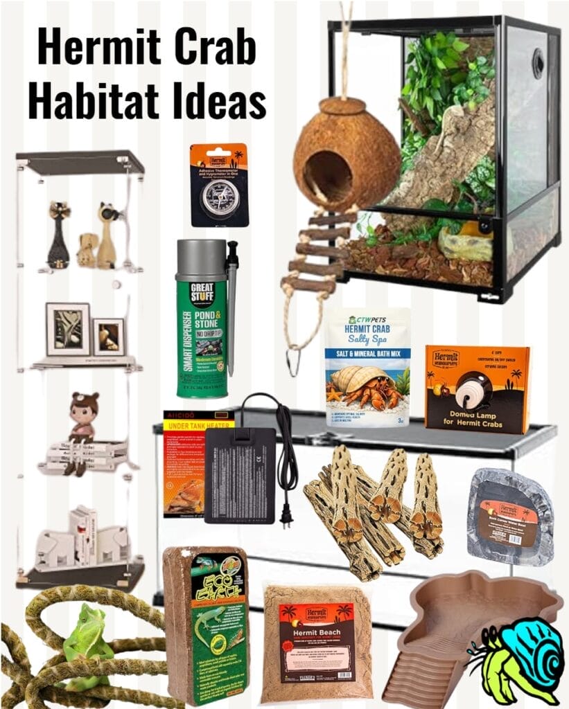 Hermit Crab Habitat Ideas Collage of Supplies and Products on Amazon now